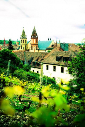 Гостиница Jugendherberge Würzburg  Вюрцбург